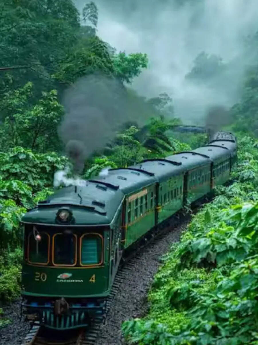  கேரளாவின் ஊட்டி எது தெரியுமா.. உள்ளூர் வாசிகளுக்கே அதிகம் தெரியாத அழகிய மலைவாழிடம்! 