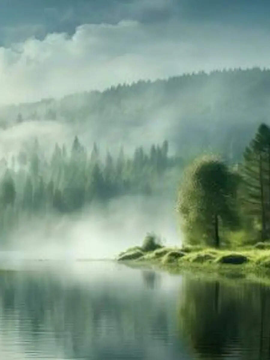  கேரளாவின் கூமாபட்டி தெரியுமா.. அதிகம் பிரபலமாகாத இயற்கை எழில் கொஞ்சும் அழகிய மலைவாழிடம்! 