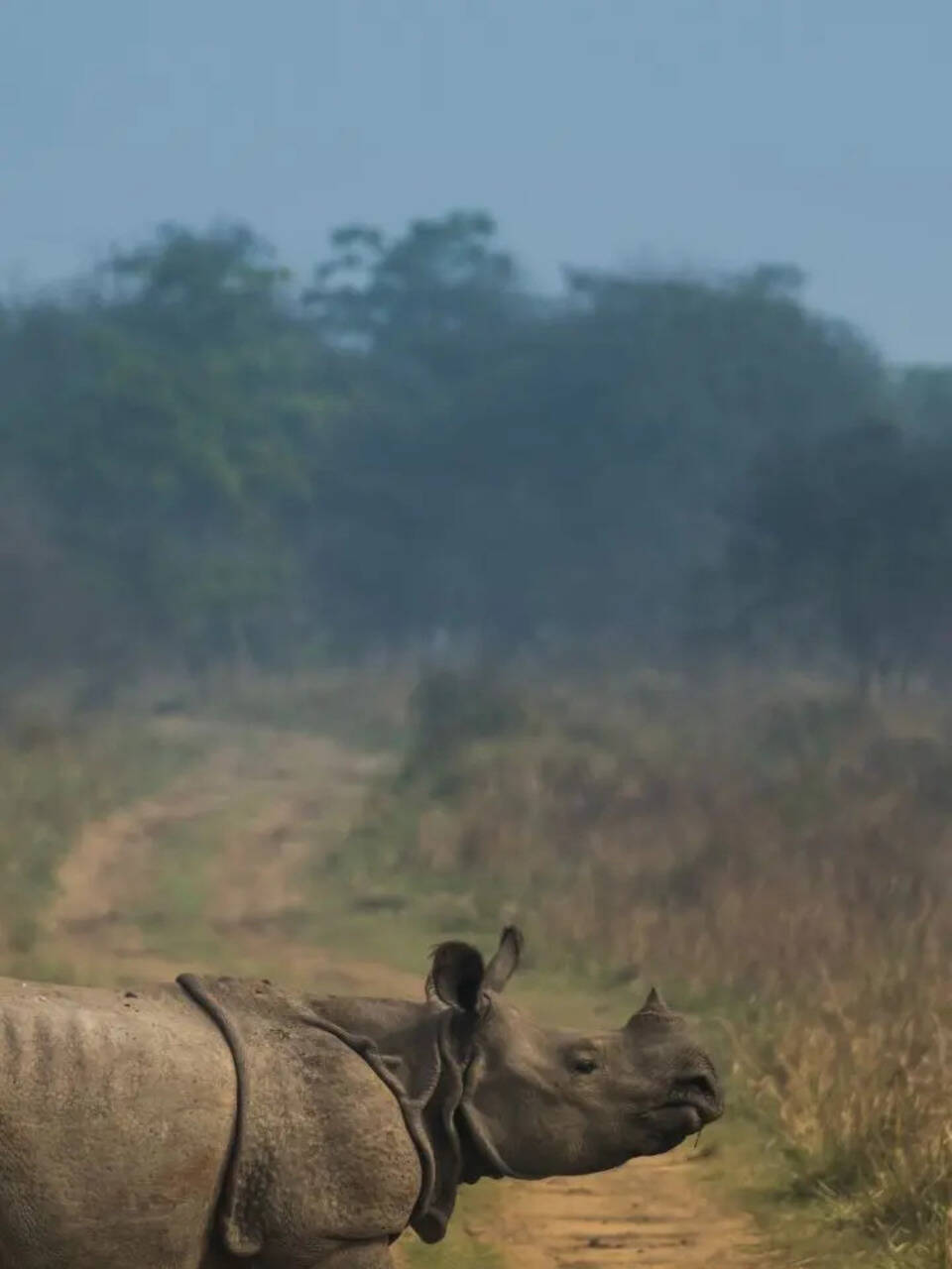 Wild History: 7 UNESCO-Recognised National Parks In India You Need To Visit