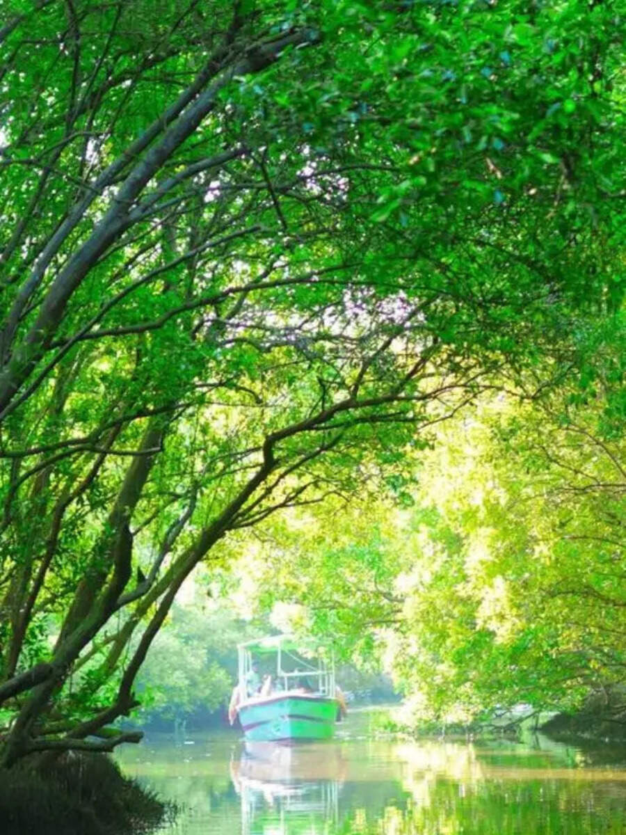  புதுச்சேரியில் இப்படியொரு அட்வென்ச்சர் காடு இருக்கா.? இந்த சீசனுக்கு மிஸ் பண்ணாதீங்க! 