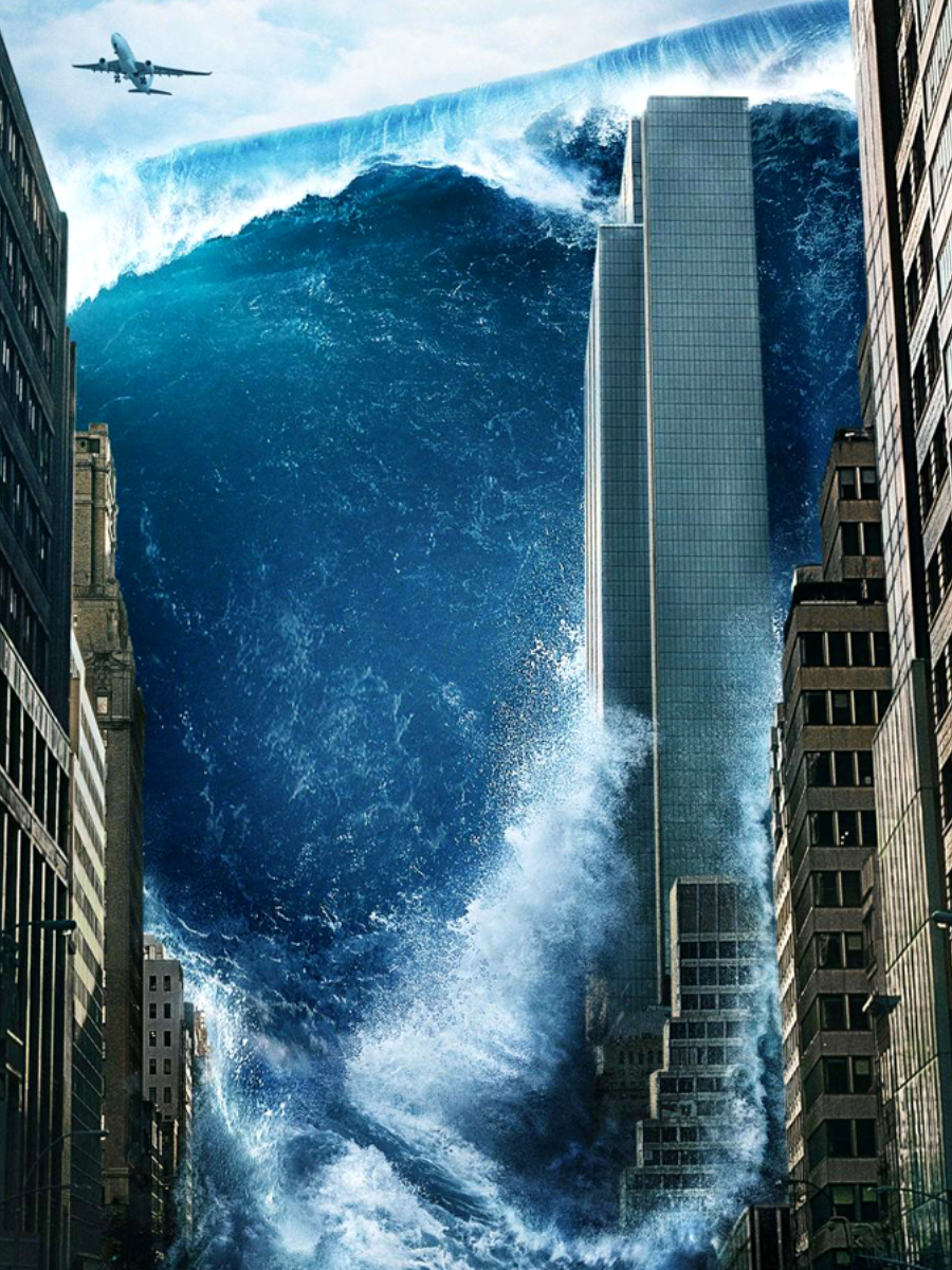 How 7 Myanmar Rohingya Were Detained in Assam While Attempting to Cross Into Bangladesh - What's Next for Them