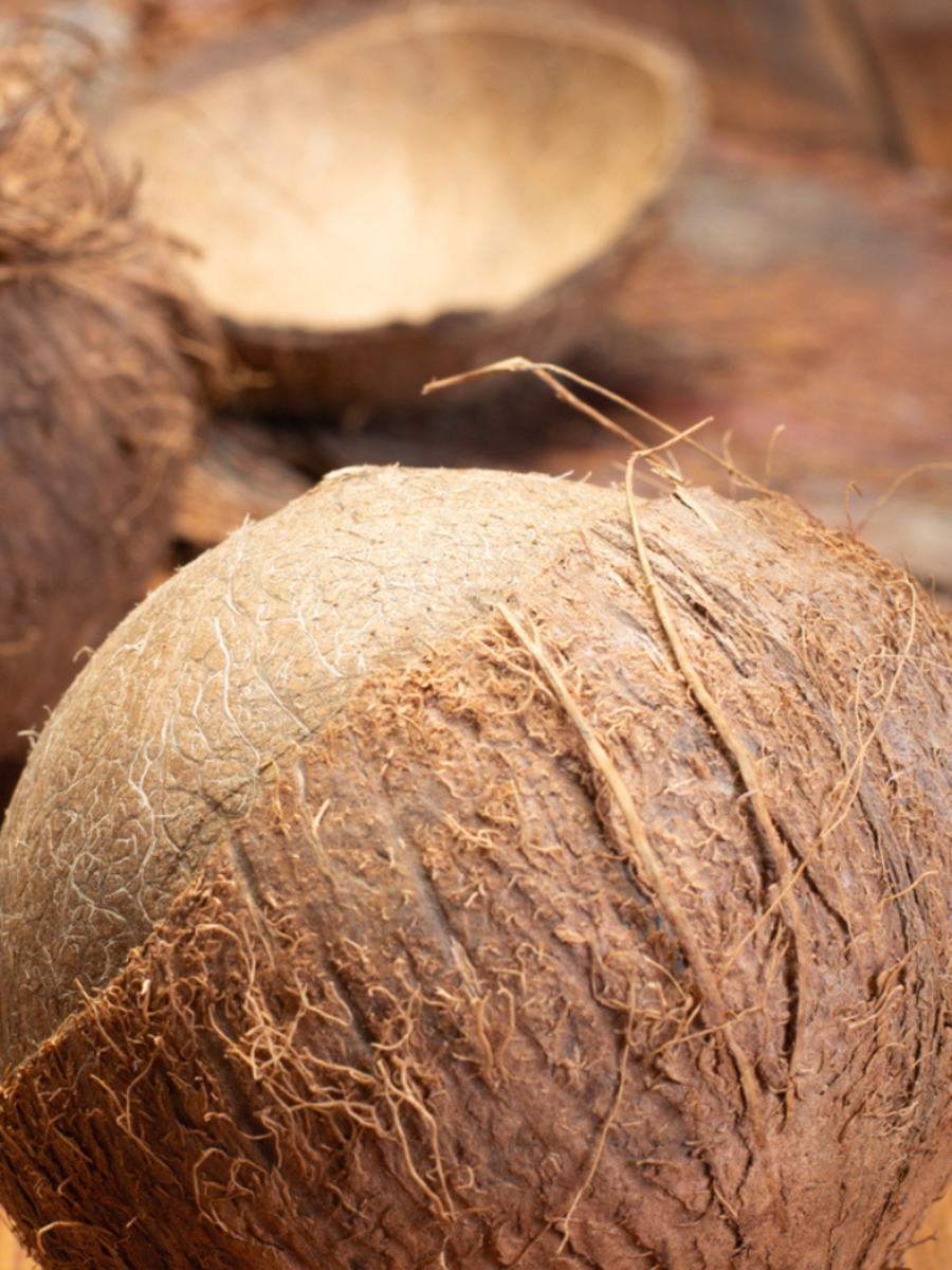  ​விமானத்தில் தேங்காய் எடுத்து செல்ல கூடாது ஏன் தெரியுமா? 