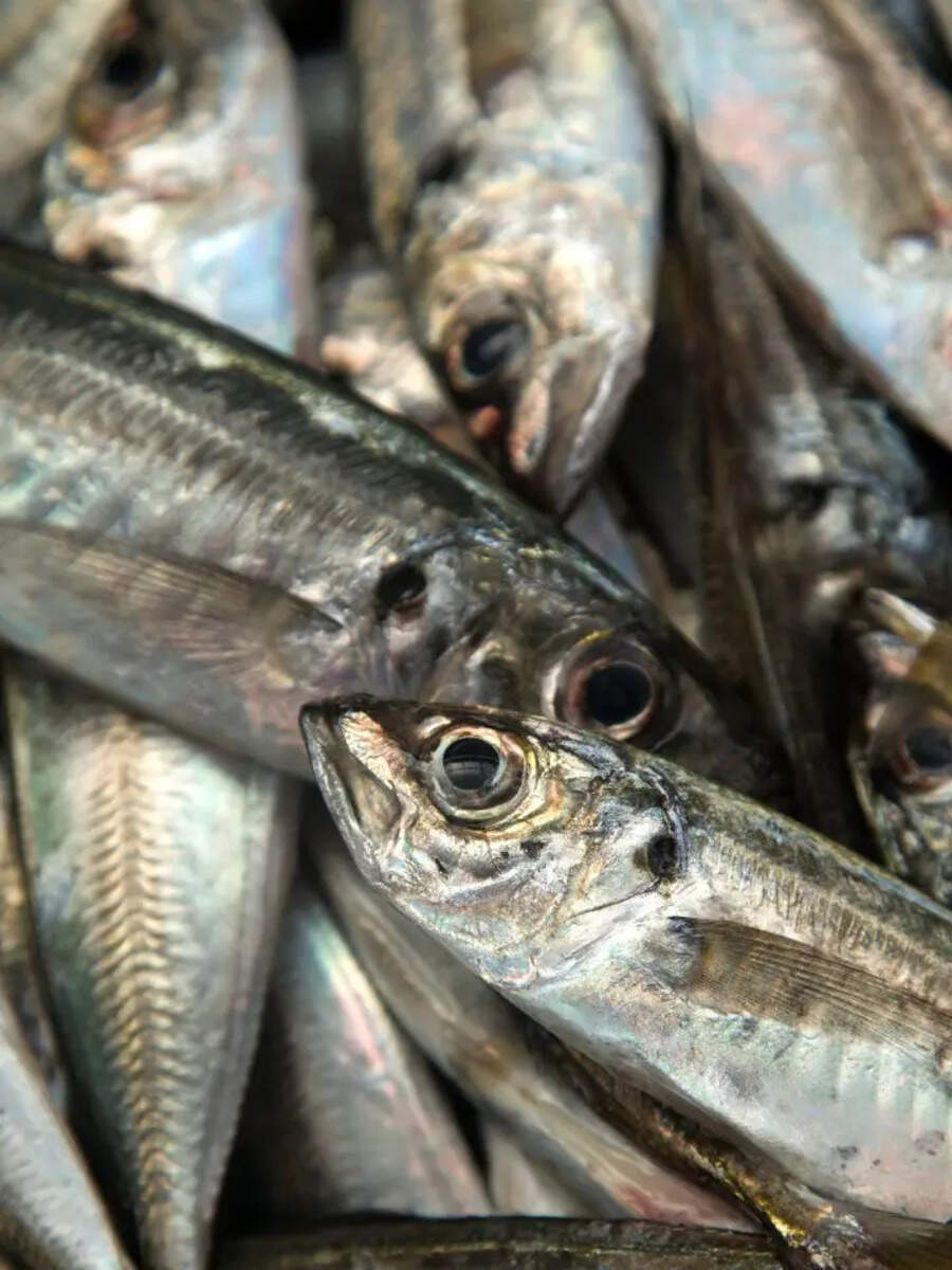  பெண்கள் ஏன் மத்தி மீன் சாப்பிட வேண்டும் தெரியுமா? 