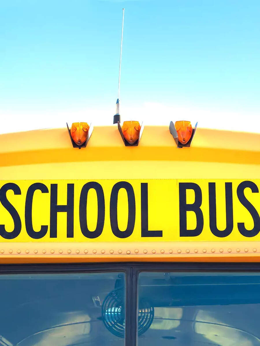 why school bus color are yellow know the fact | Times Now Navbharat